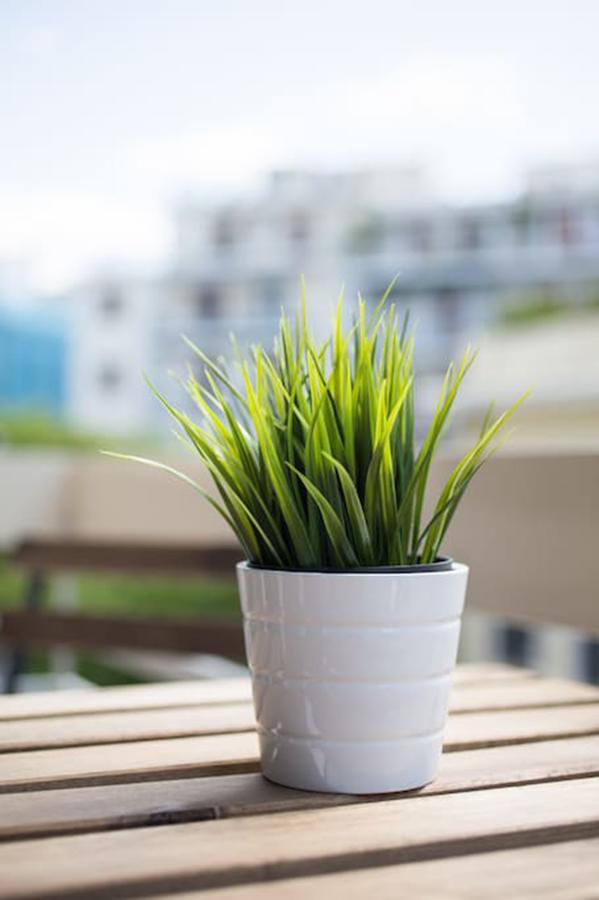 Apartamento Bright Flat Near The Acropolis By Upstreet Atenas Exterior foto